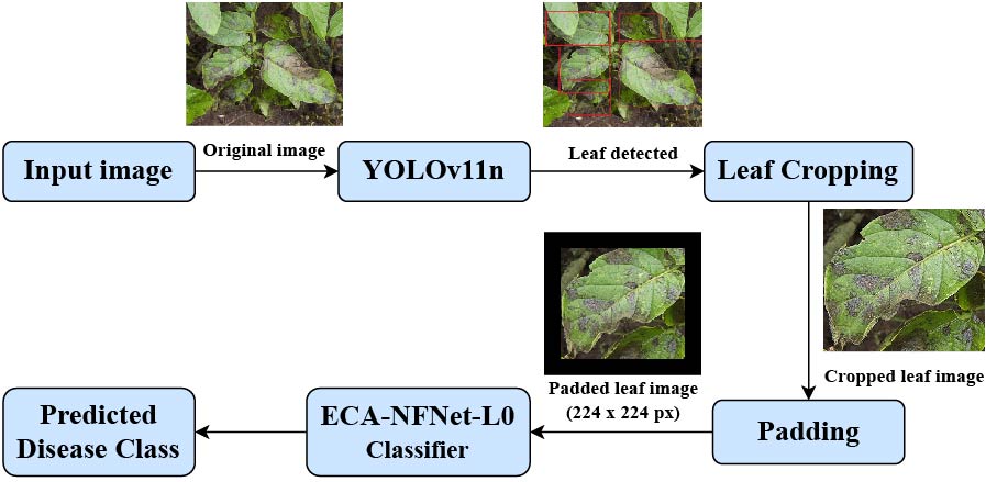 Pipeline Architecture